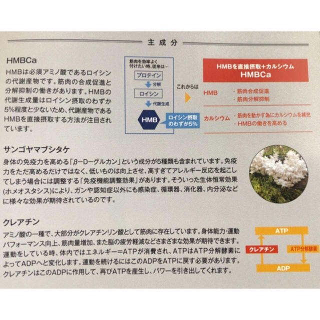 sati様専用　Rexit Muscle  コスメ/美容のダイエット(ダイエット食品)の商品写真