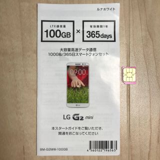 アイフォーン(iPhone)の日本通信 b-mobile 100GB 365日大容量高速データ通信サービス(その他)