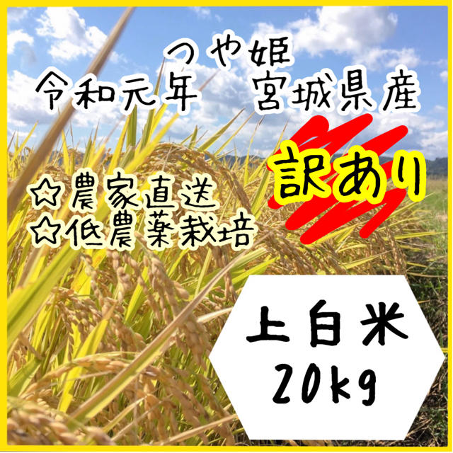 【訳あり】即購入OK♪ 宮城県産つや姫　上白米20kg【送料無料】