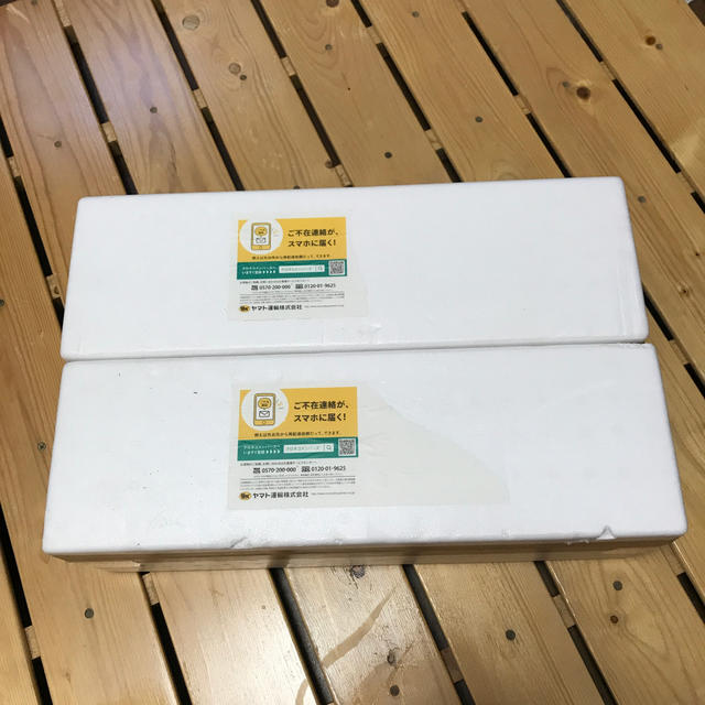 森伊蔵 2本セット セール 登場から人気沸騰 16575円 www.lasempanadas