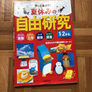 やってみよう！夏休みの自由研究 びっくり実験たのしい工作ふしぎ観察なっとく調査 (絵本/児童書)