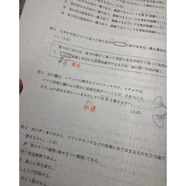 北辰のかこもん　27年度5教科 エンタメ/ホビーの本(語学/参考書)の商品写真