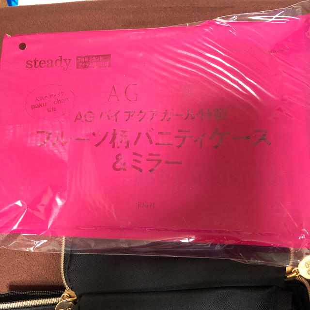 AG(エージー)のsteady７月付録、ＡＧ、フルーツガラバニティケースのみ レディースのバッグ(かごバッグ/ストローバッグ)の商品写真