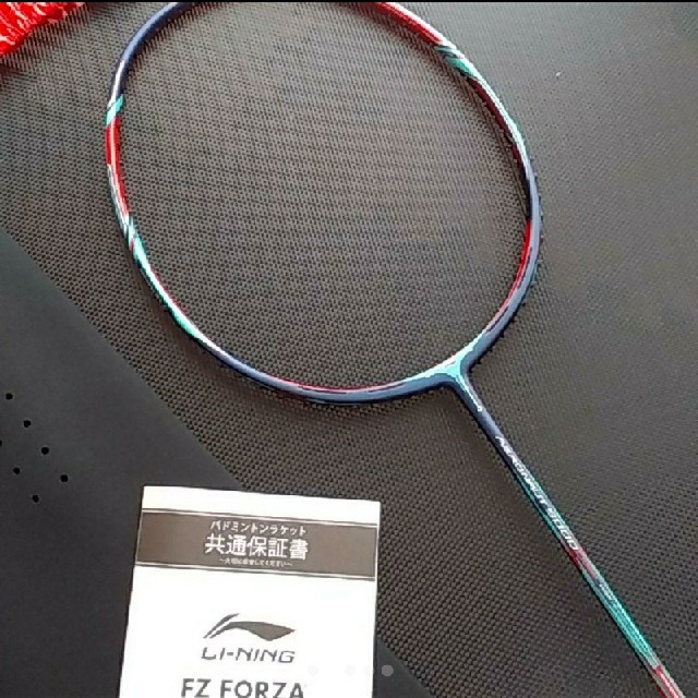AERONAUT9000C ガット張り込み - www.ecotours-of-oregon.com
