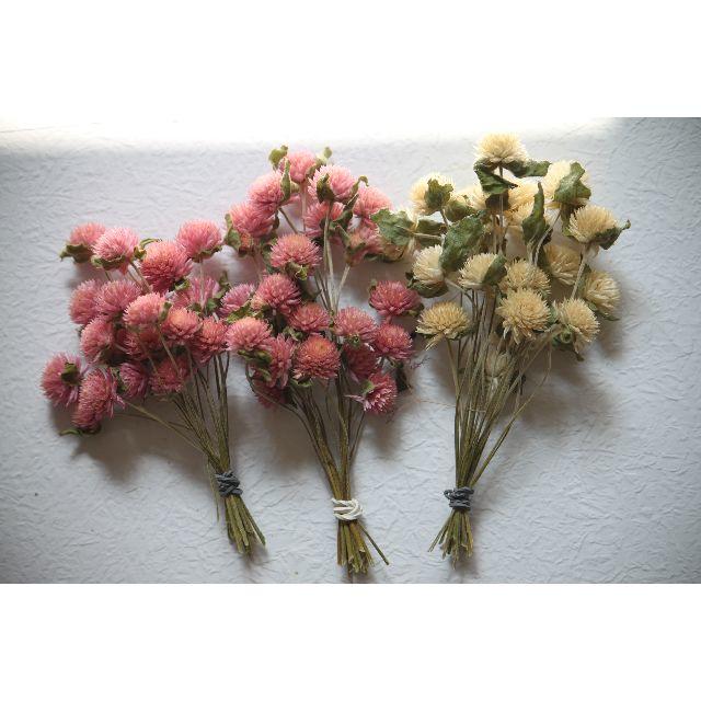 ミニブーケ用花材(1) スモークツリー,ユーカリ,千日紅など！ ハンドメイドのフラワー/ガーデン(ドライフラワー)の商品写真