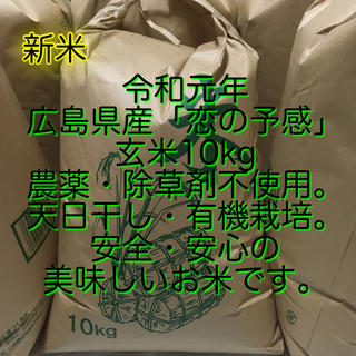 玄米　無農薬　天日　干し　10kg