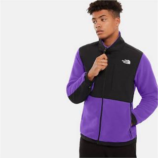 ザノースフェイス(THE NORTH FACE)のThe North Face Denali 2 Fleece Jacket(ブルゾン)