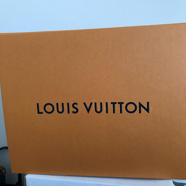 LOUIS VUITTON(ルイヴィトン)のルイヴィトン　バックパック　なる様専用 メンズのバッグ(バッグパック/リュック)の商品写真