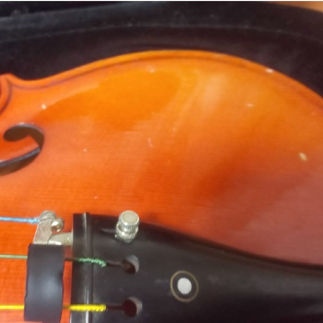 ビオラ  楽器の弦楽器(ヴィオラ)の商品写真