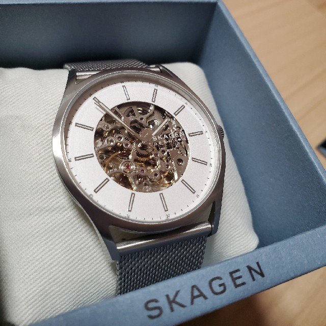 SKAGEN  腕時計 HOLST SKW6581