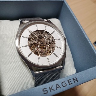 スカーゲン(SKAGEN)のSKAGEN  腕時計 HOLST SKW6581(腕時計(アナログ))