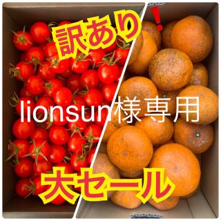 lionsun様専用　訳あり❗️みかん 2kg  キャロルセブン1kg  (フルーツ)