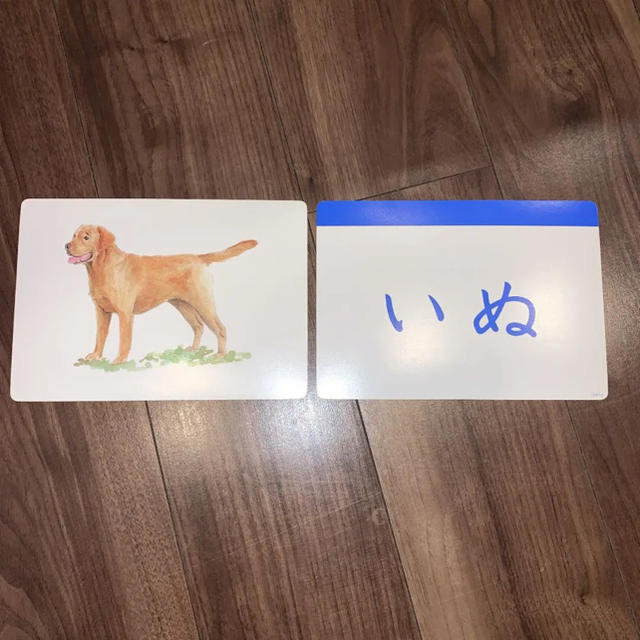 ◇美品◇ かな絵ちゃん フラッシュカード フルセット ◇美品◇ かな絵ちゃん フラッシュカード フルセット
