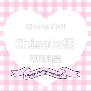 Chisato様❣専用出品(つけ爪/ネイルチップ)