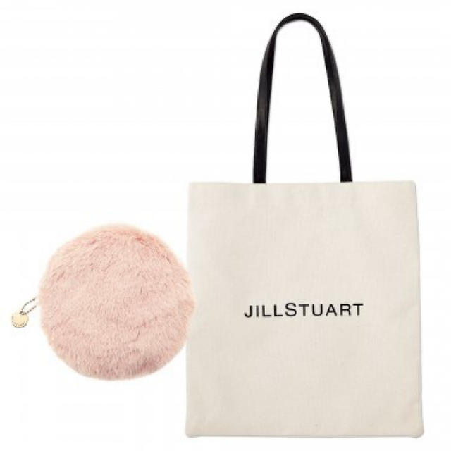 JILLSTUART(ジルスチュアート)のジルスチュアート  ファーポーチ レディースのファッション小物(ポーチ)の商品写真