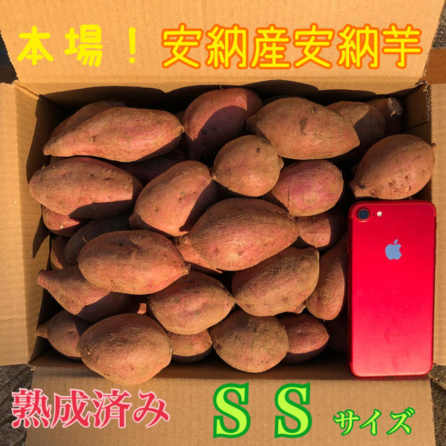 本場！熟成済み安納芋　SS  Ａ級品　４kg 食品/飲料/酒の食品(野菜)の商品写真