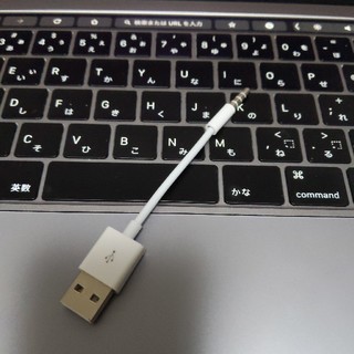アップル(Apple)のiPod Shuffle用充電ケーブル(ポータブルプレーヤー)