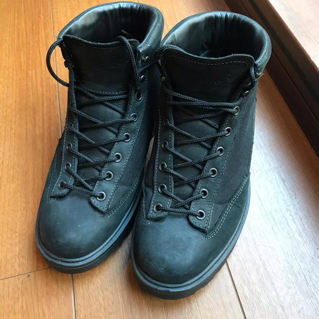 Danner ダナーライト2  US7.5