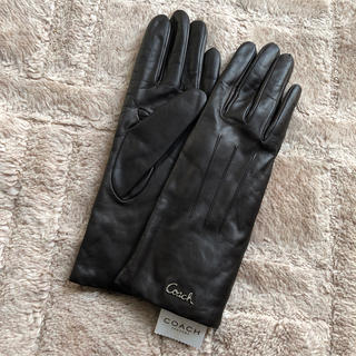 コーチ(COACH)の新品　コーチ　婦人革手袋　グローブ　6.5(手袋)