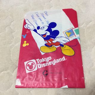 ディズニー(Disney)のディズニーランド　紙袋(ショップ袋)