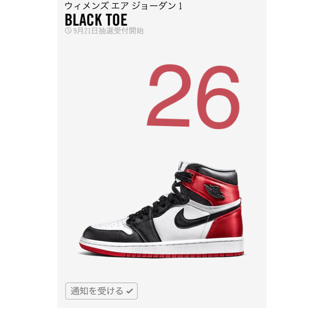 Air Jordan 1 Black Toe Satin 26cm