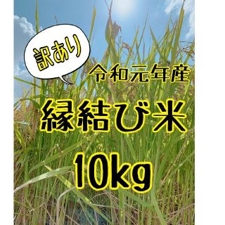 令和元年度産　縁結び米10 kg訳あり(米/穀物)