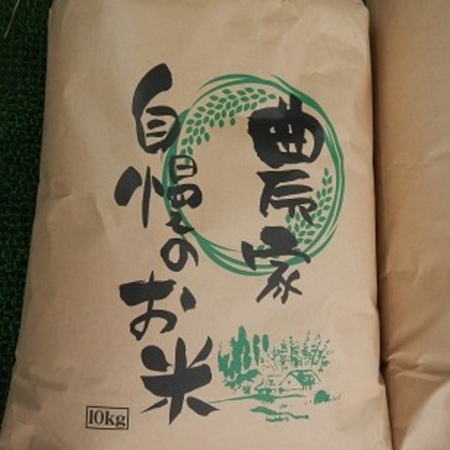 一等米！令和元年産 彩のかがやき10㎏ 食品/飲料/酒の食品(米/穀物)の商品写真