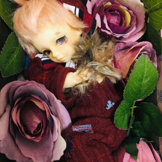 ボークス(VOLKS)のこっこ様 幼SDくんヘッド＋男の子ボディ(人形)