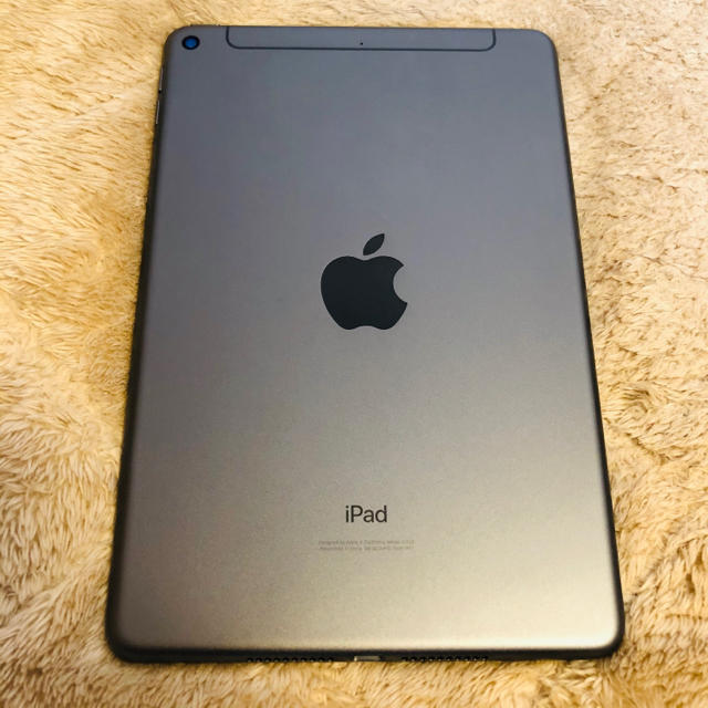 iPad mini 5 Wi-Fi+Cellular 64GB 充電器+ケース付