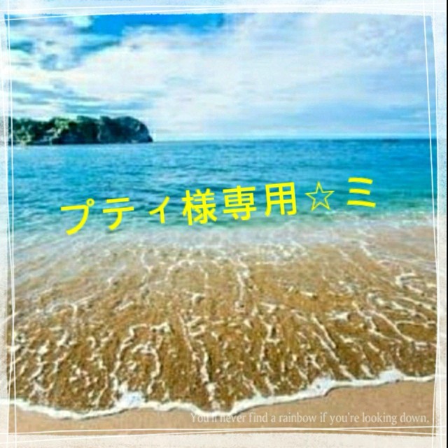プティ様専用☆(2) 新入荷 8432円 aulicum.com-日本全国へ全品配達料金 ...