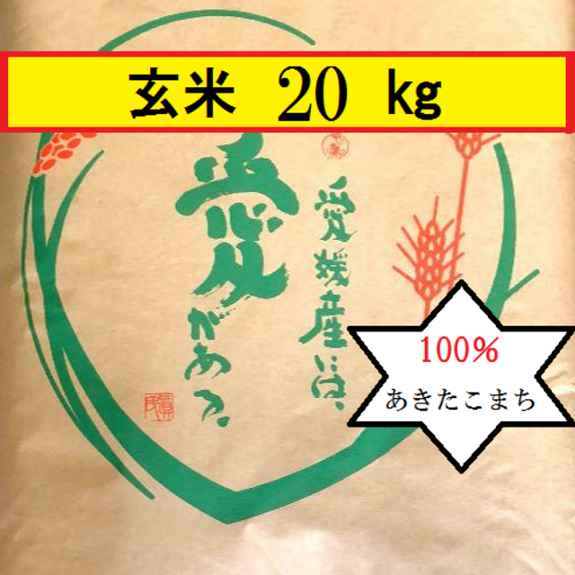 お米　令和元年愛媛県産あきたこまち 玄米　20kg 食品/飲料/酒の食品(米/穀物)の商品写真