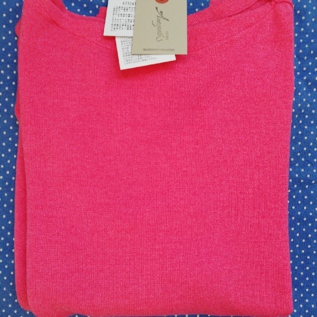 nest Robe(ネストローブ)のイチアンティークス　春色ニット レディースのトップス(ニット/セーター)の商品写真