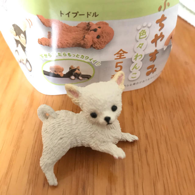 ふちやすみ色々わんこ　　チワワ その他のペット用品(犬)の商品写真