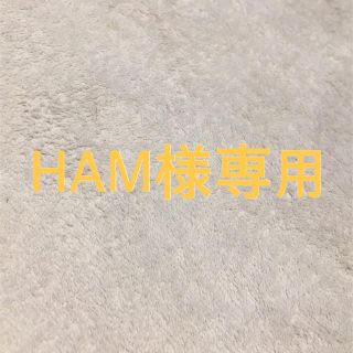 HAM様専用(その他)