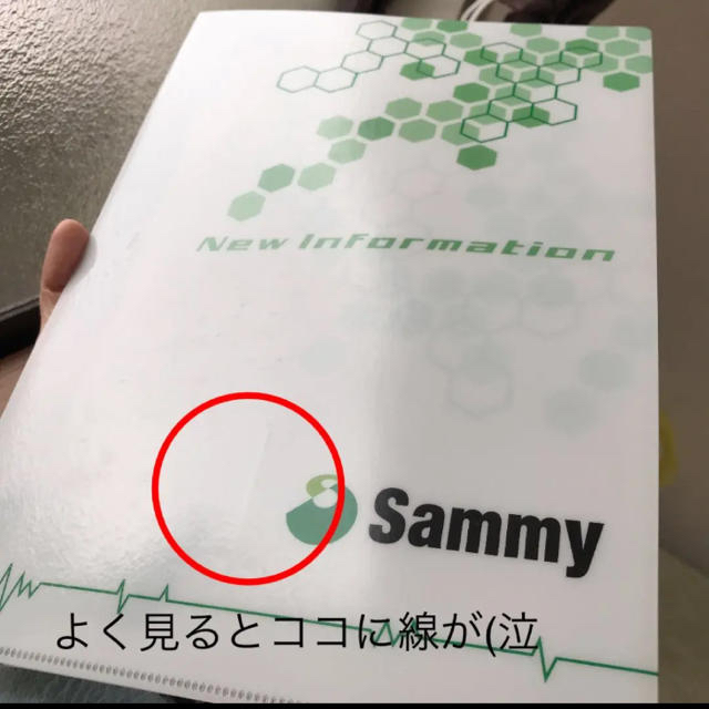 Sammy(サミー)のエイリやん　クリアファイル パンフレットカバー 白(非売品)※中古品です！ エンタメ/ホビーのテーブルゲーム/ホビー(パチンコ/パチスロ)の商品写真