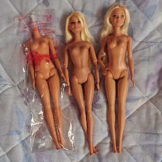 バービー(Barbie)のバービー　Barbie　ファッショニスタ等　中古　セット(ぬいぐるみ/人形)