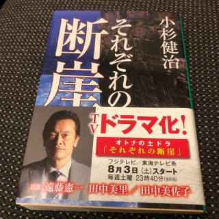 それぞれの断崖(文学/小説)