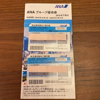 エーエヌエー(ゼンニッポンクウユ)(ANA(全日本空輸))の全日空　ANA 株主優待券　2枚(その他)