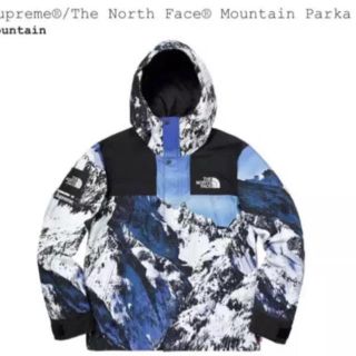 ザノースフェイス(THE NORTH FACE)のsupreme x the north face(マウンテンパーカー)