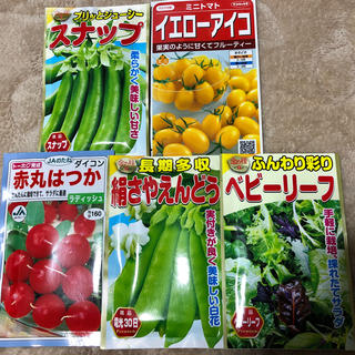 野菜の種(野菜)