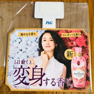 【非売品】P&G 沢尻エリカ POP(女性タレント)