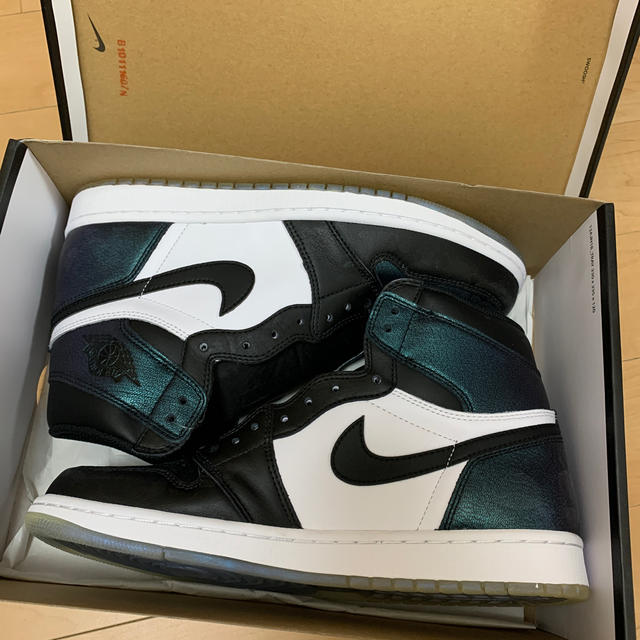 NIKE(ナイキ)のAJ1 カメレオン　 メンズの靴/シューズ(スニーカー)の商品写真