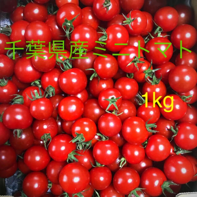 ミニトマト1kg 食品/飲料/酒の食品(野菜)の商品写真