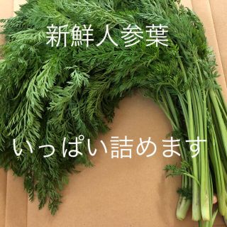 いい香り、人参葉！(野菜)