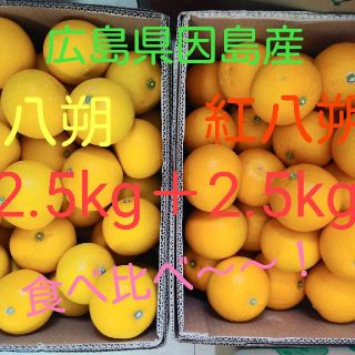 八朔　食べ比べ　5kg(フルーツ)