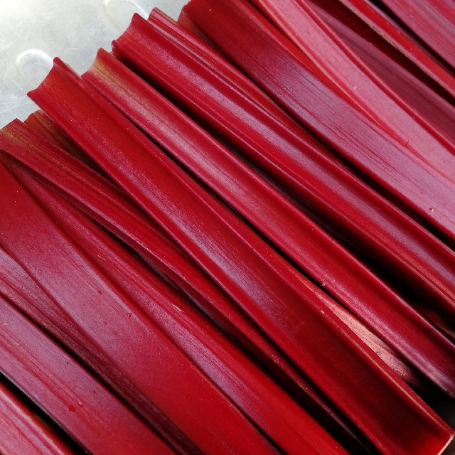 鹿児島県産 赤いルバーブ 1kgの通販 by Rhubarb farm｜ラクマ