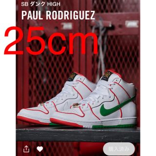 ナイキ(NIKE)のPAUL RODRIGUEZ × NIKE SB DUNK HIGH(スニーカー)