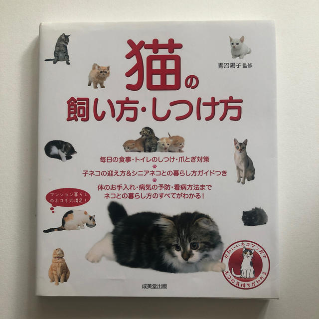 猫の飼い方・しつけ方 エンタメ/ホビーの本(住まい/暮らし/子育て)の商品写真
