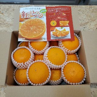 一度は食べてみたい高級柑橘　愛媛県産「紅まどんな」(フルーツ)