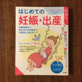 美品　はじめての妊娠・出産(その他)